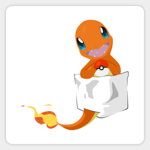 Charmander pocket